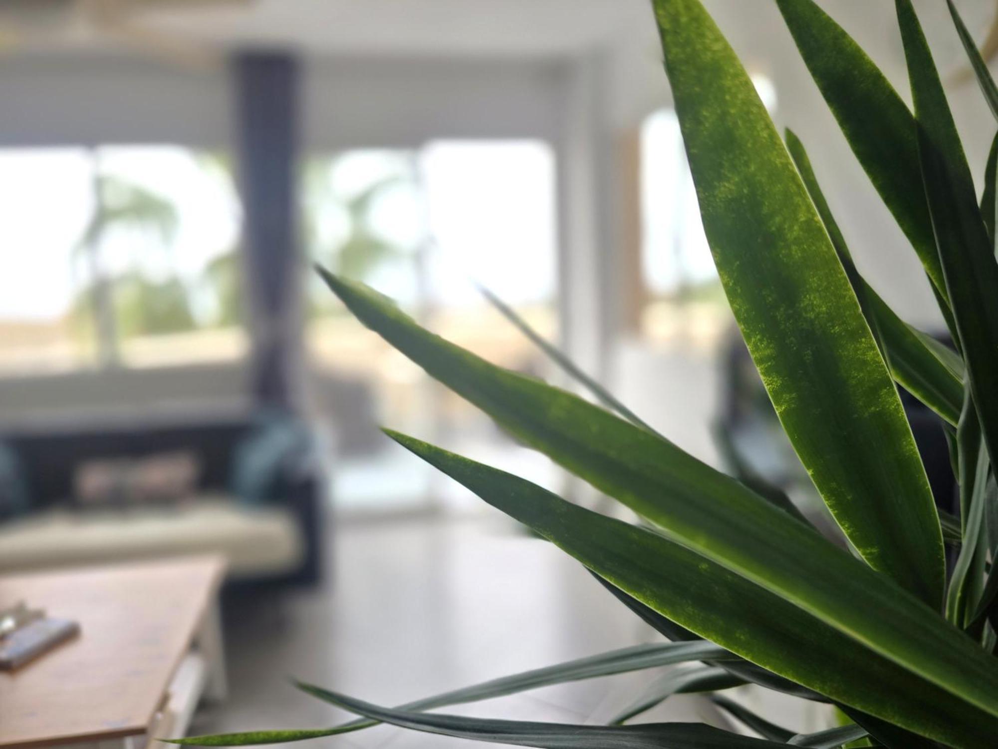 Apartamento Sea View Málaga