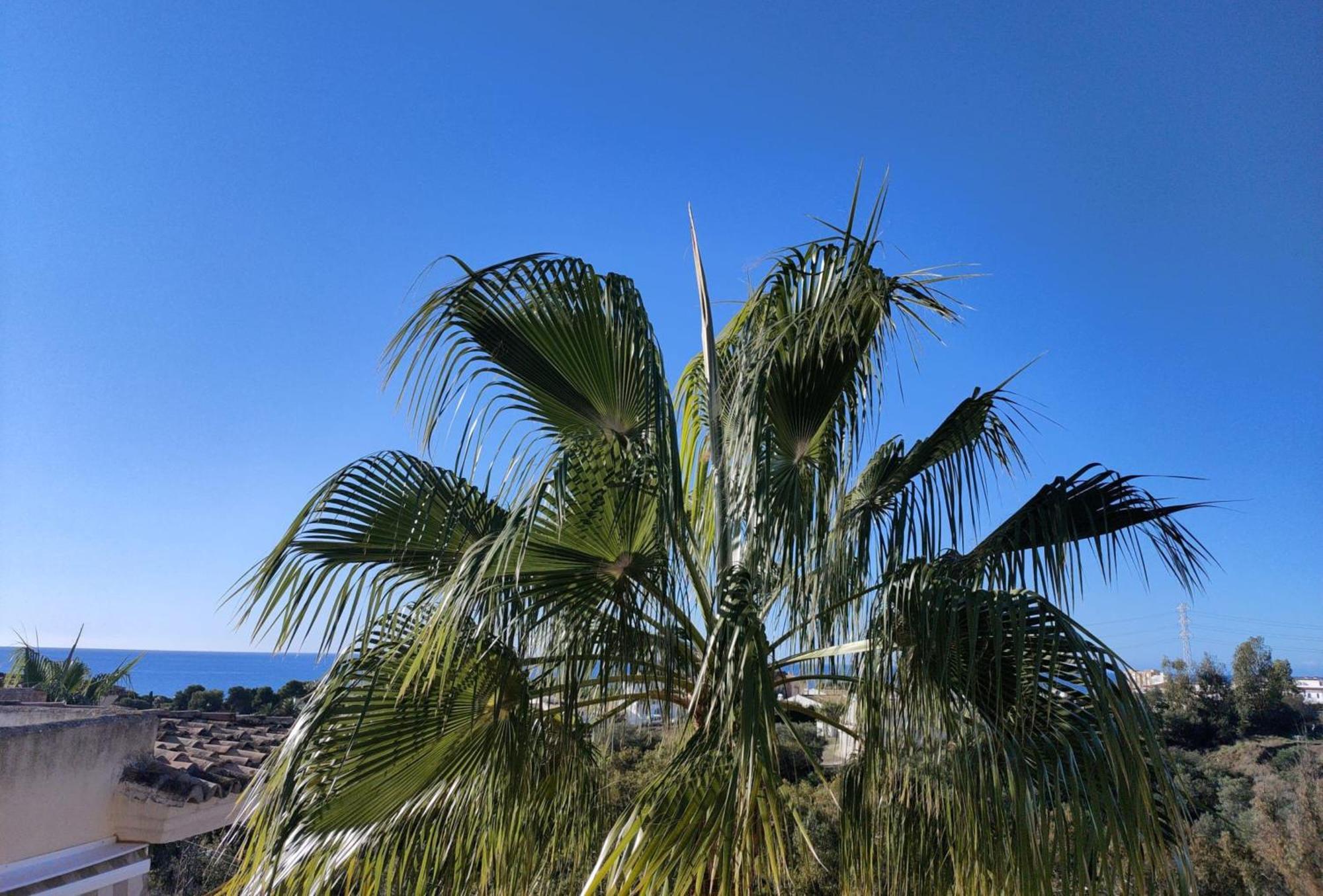 Apartamento Sea View *