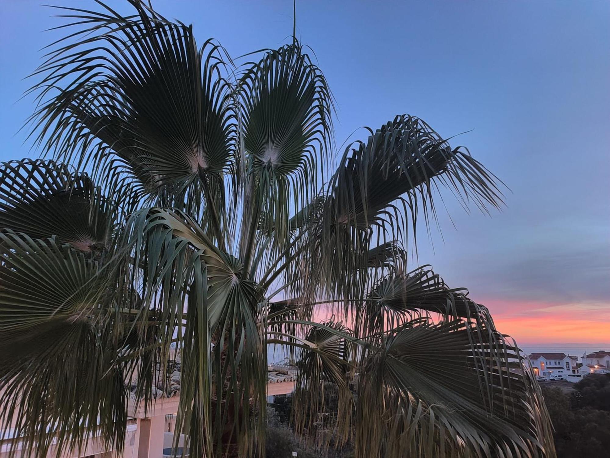 Sea View Apartamento
