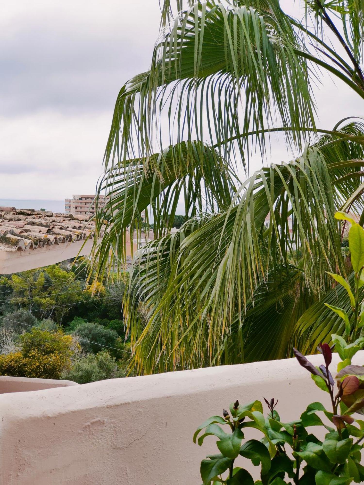 Sea View Malaga